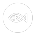 poissons