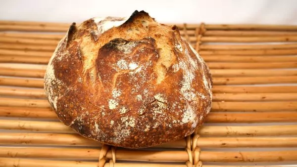 Boule tradition